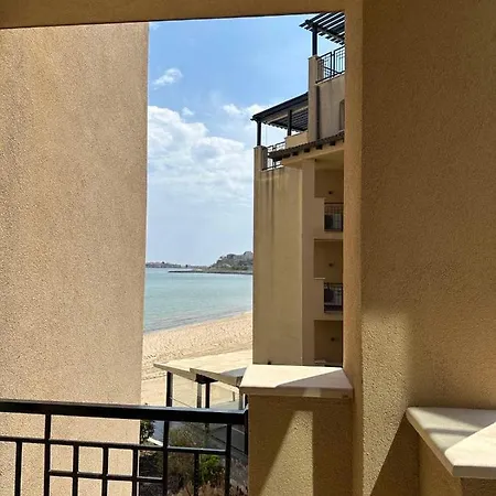 Oazis Vip Club Słoneczny Brzeg